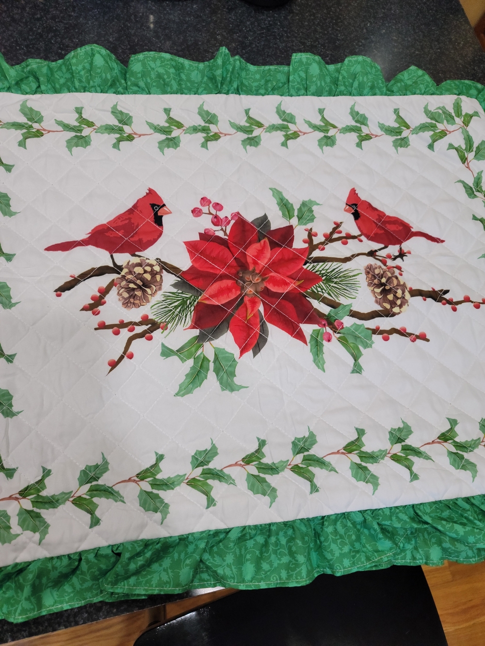 Holiday Poinsettia & Cardinal Quilted Pillow Shams - Green/Red 2 Pcs